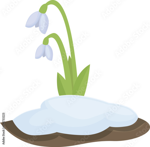 Fresh snowdrop icon cartoon vector. Spring flower. Petal flora