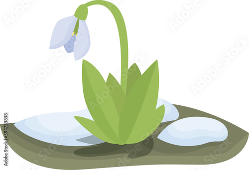 Nature snowdrop icon cartoon vector. Spring flower. Flora petal