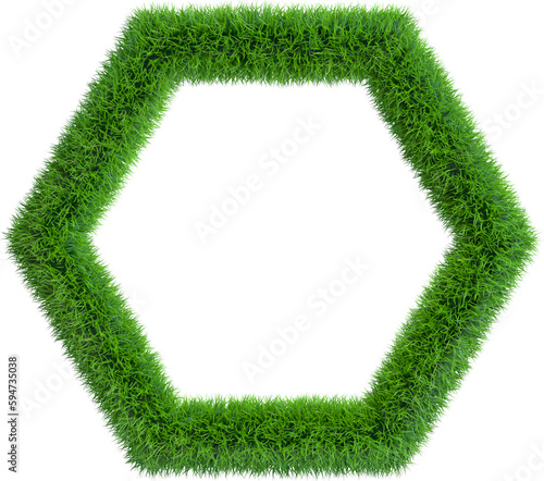 Grass frame in form of hexa...