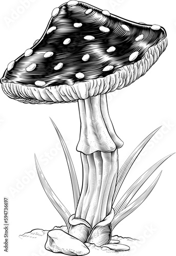 Mushroom or toadstool origi...