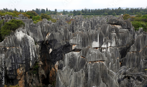 The Stone Forest, Yunnan, China