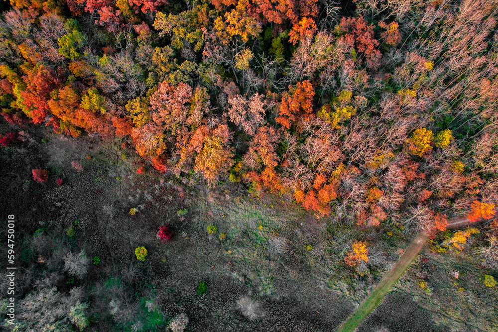 Colorful trees in the autumn from above during sunset, drone image, Wisconsin Colorful trees in the autumn from above during sunset, drone image, Wisconsin