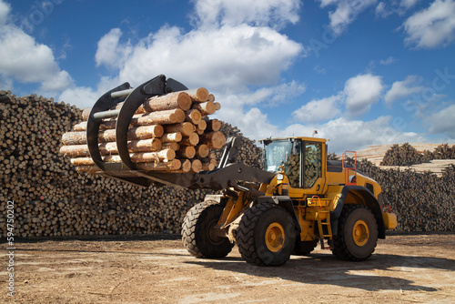 Loading logs with a special loader.Timber products warehouse on a specialized site.