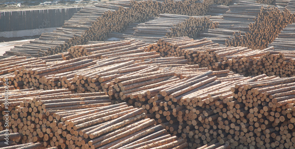 Sawing logs into boards.Timber products warehouse on a specialized site. Sawing logs into boards.Timber products warehouse on a specialized site.