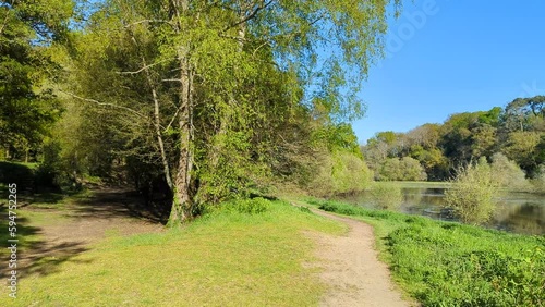 L'arbre le talus et le canal