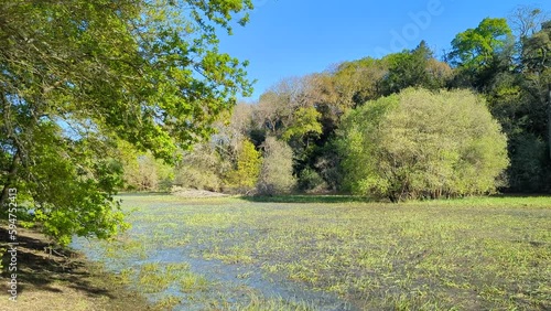 Le parc et le Brivet