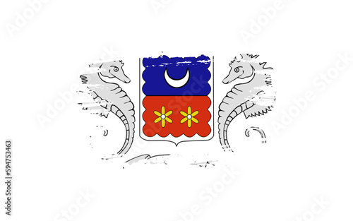 Creative hand-drawn brush stroke flag of MAYOTTE country vector illustration