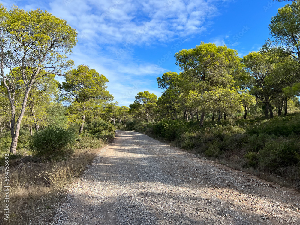 Gravel road through Parc Natural del Montgrí Gravel road through Parc Natural del Montgrí