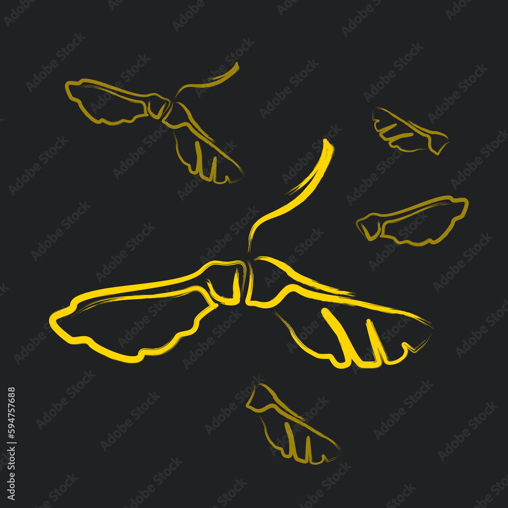 Obraz premium Sketch of maple lionfish on a dark background. Linear drawing of seeds