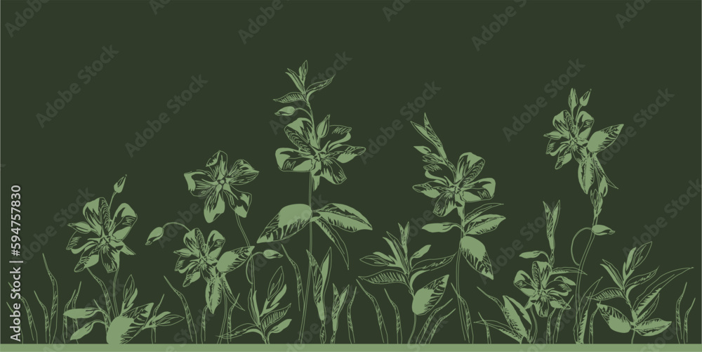 Pattern of forest flower stellaria. Background based on inflorescences, leaves and buds of delicate spring flowers