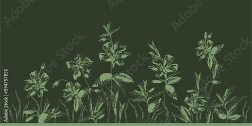 Pattern of forest flower stellaria. Background based on inflorescences, leaves and buds of delicate spring flowers
