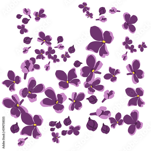 Natural pattern of lilac flowers on a white background. Eco design.