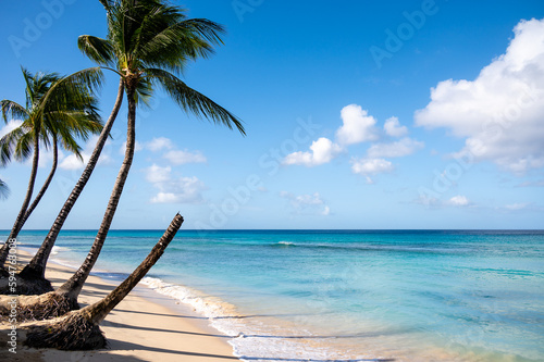 Fototapeta Naklejka Na Ścianę i Meble -  Paradise beach. Sunny beach with palm and turquoise sea. Summer vacation and tropical beach concept.