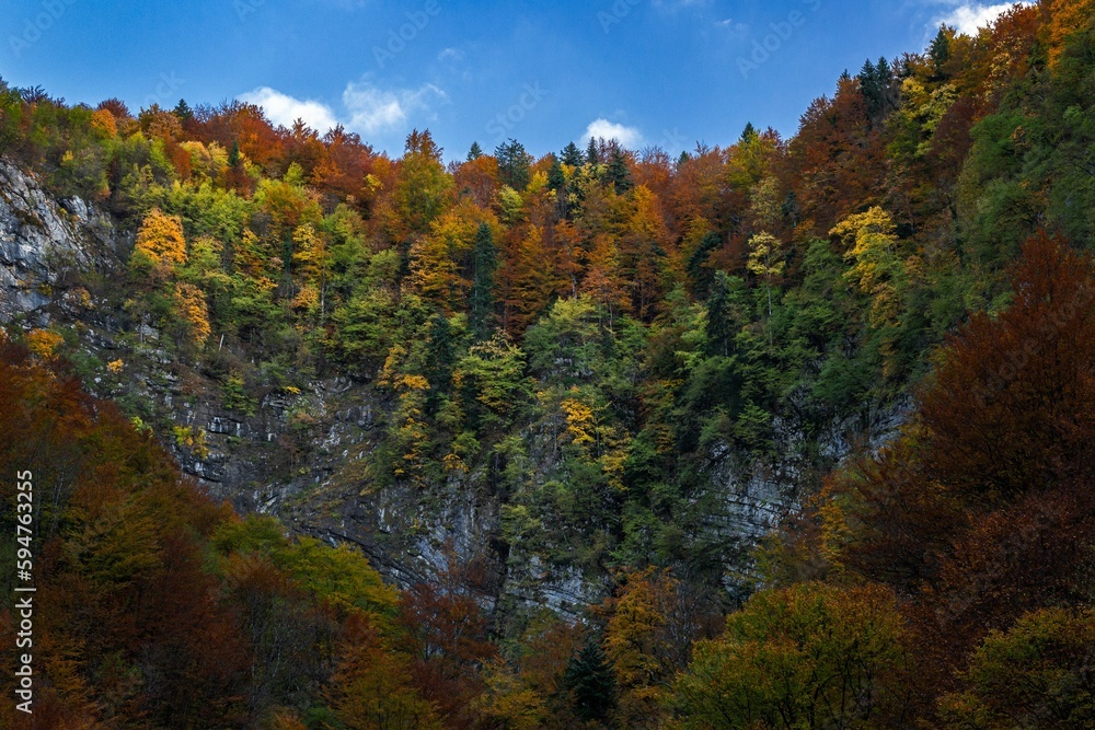 Beautiful gorge with lush colorful autumn trees against the background of the blue sky.