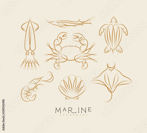 Filigree swirl sea and ocean creatures squid, fish, crab, turtle, shrimp, stingray, shell, scallop drawing on beige background