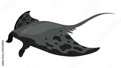 Stingray fish. Sea animal floating underwater. Cute cartoon stingray. Adorable sea creature isolated on white background. Wildlife, nature concept. Vector illustration of manta ray