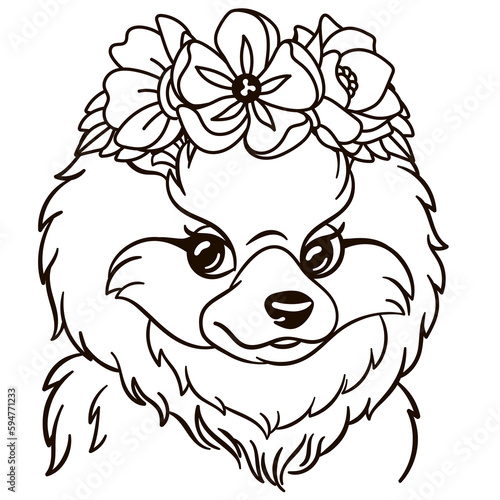 Cartoon pomeranian spitz dog in floral crown. Cute baby animal nursery print.