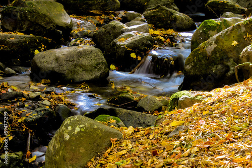 waterfall in autumn