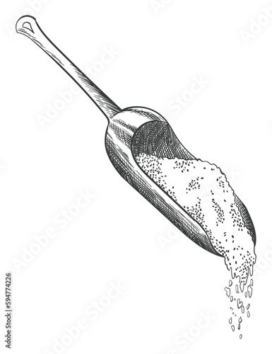 Sea salt sketch. Hand draw spice, vintage sea powder. Food ingredients to cook, isolated coloring vector illustration