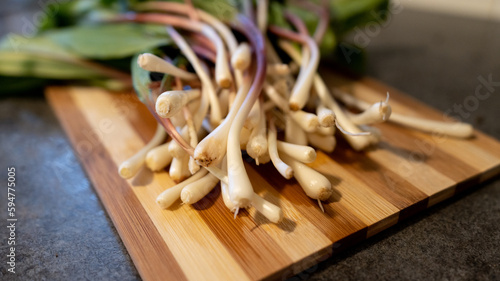 Wild ramps - gourmet onion 1