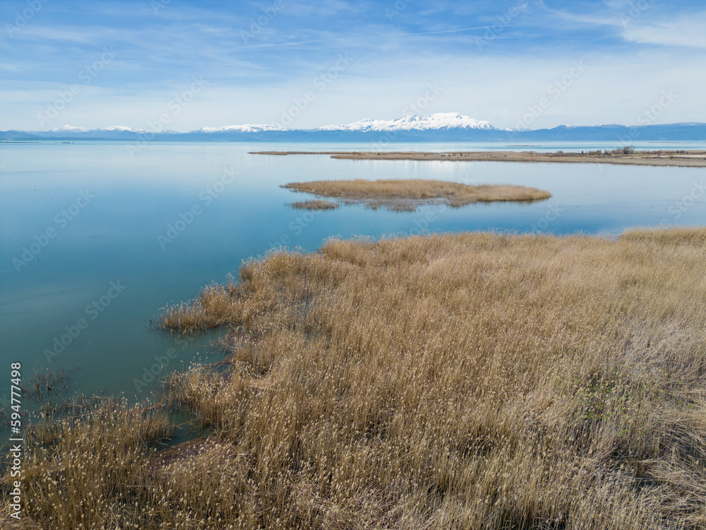 The reeds on the lake shore, the lake texture and the region that is home to the birds around it