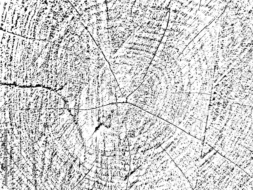 Unique, natural grunge texture of cut wood with cracks and concentric circles. Monochrome organic background of an old sawn tree. Perfect for vintage, rustic, and abstract designs
