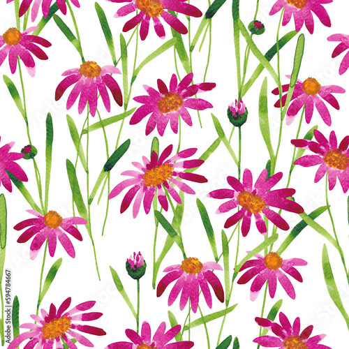 Floral seamless pattern. Pink chamomile flowers painted in watercolor on a white background. © Irina
