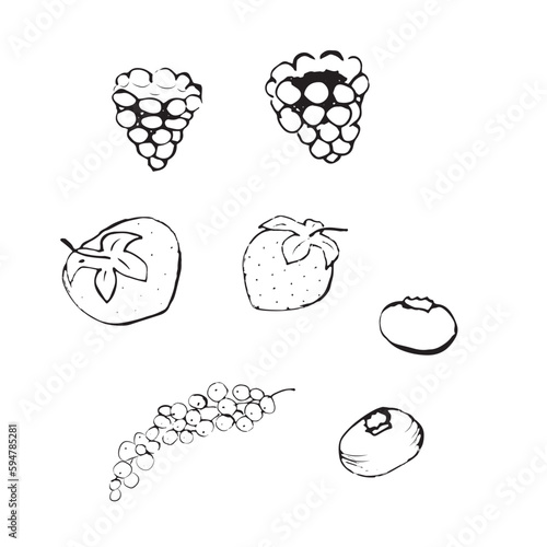 Wallpaper Mural Vector illustration. A set of berries made in the style of hand drawing. Raspberries, strawberries, blueberries and currants in black and white. Torontodigital.ca