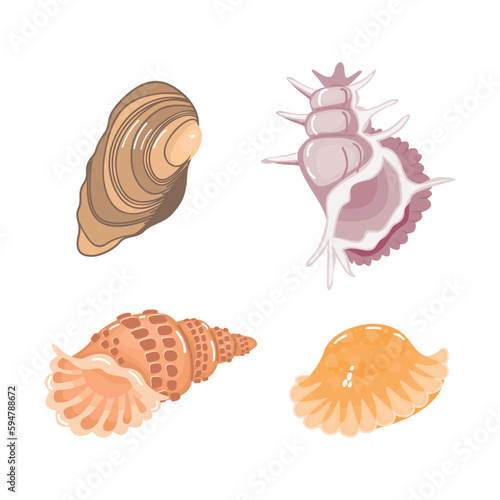 Set of seashells in vector.Collection of marine inhabitants isolated on white background.Cartoon shellfish in color.Animals of the underwater world.Print on fabric and paper.Flat style illustration.
