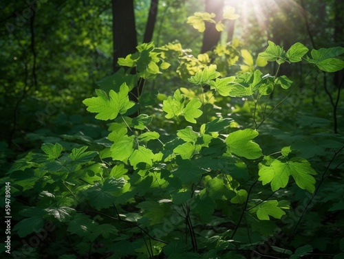 Greenery Enveloped in Sunlight: A Forest's Embrace | Generative AI