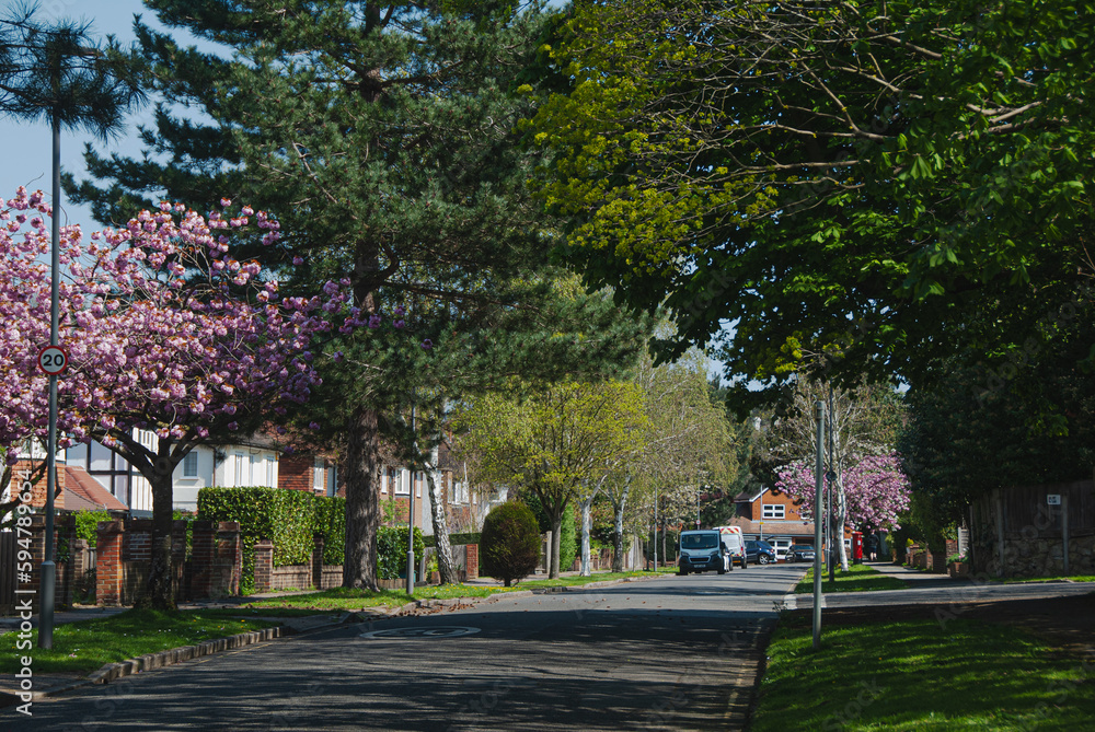 Fototapeta premium Streets of Surbiton in full bloom, Greater London.