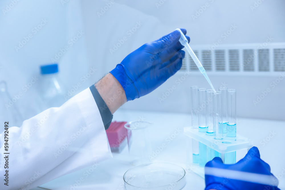 Scientist hands with dropper or pipette, examining samples and liquid. Scientist hands with dropper or pipette, examining samples and liquid.