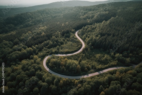 Aerial photo of a road winding through a forest during golden hour, sunset