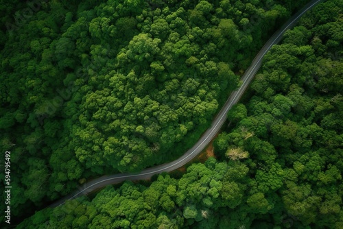 Road Passing Through Forest © Pandelik