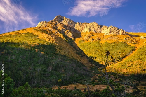 Mountain landscape in autumn sunny day. Summit overgrown with dwarf pine trees, Bielanske Tatras in autumn season.