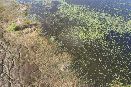 A drone photo of Lake Chautauqua Nature Preserves in Tampa Bay, Florida.
