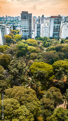 Bairro Higienópolis São Paulo Avenida Angélica Ruas Parque Buenos Aires Prédios Residenciais Urbana Cidade Metrópole Construção Engenharia Aéreo Drone Janelas Telhados Carros Pacaembu Paisagem SP photo