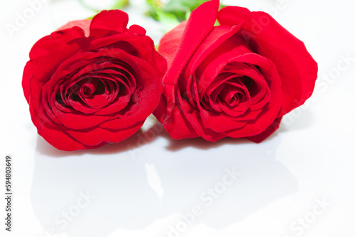 Red roses at white . Two wedding roses 