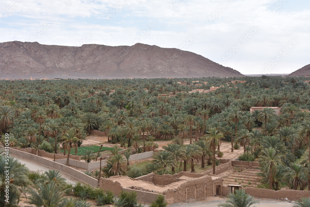 Oasis of Figuig, Oriental province, Eastern Morocco