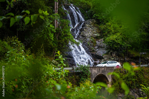 A white car passing a beautiful massive waterfall beside the road; Newell Falls roadside cascade along Waterfall Way. Scenic drive in NSW, Dorrigo National Park, Australia.  photo