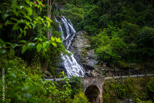 Beautiful massive waterfall next to the road; Newell Falls roadside cascade along Waterfall Way. Scenic drive in NSW, Dorrigo National Park, Australia  photo