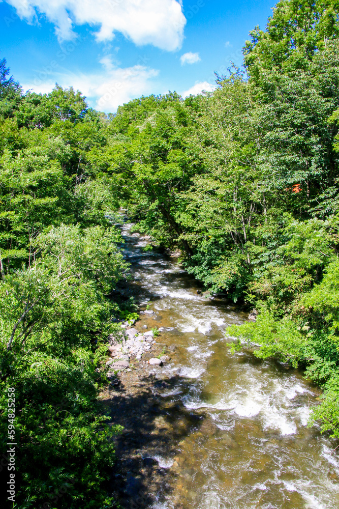 Obraz premium 志賀高原