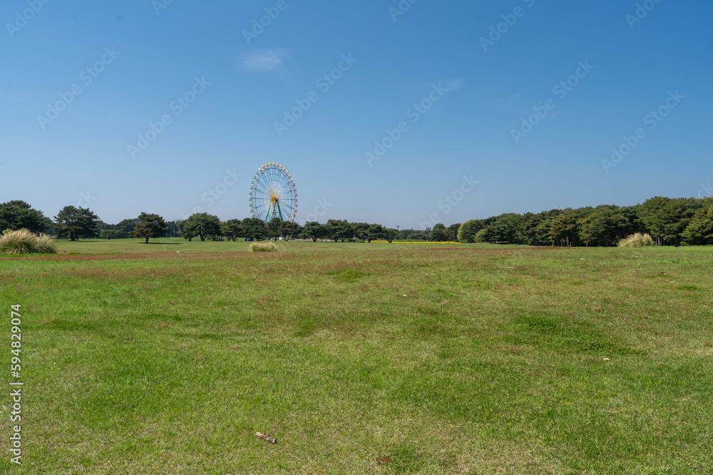 青空と新緑の風景 青空と新緑の風景
