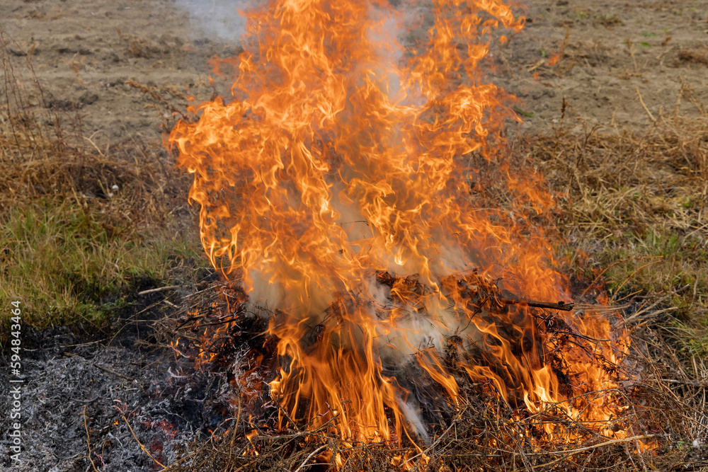Spring field is on fire as large flames engulf as an ecological catastrophe results from fire burning dry grass. Spring field is on fire as large flames engulf as an ecological catastrophe results from fire burning dry grass.