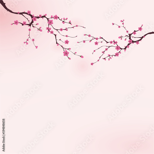Plum blossom vector illustration background