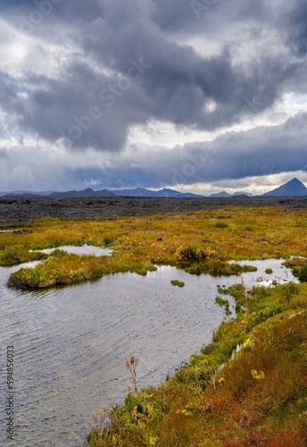 Oasis Herdubreidarlindir, river Lindaa at volcano Herdubreids. Highlands in the Vatnajokull National Park, a UNESCO World Heritage Site, Iceland photo