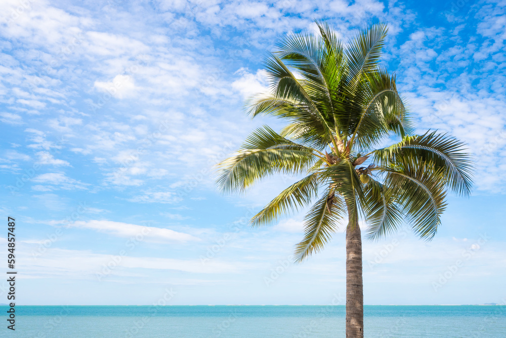 Summer with coconut trees sandy beach and blue sea. Summer with coconut trees sandy beach and blue sea.