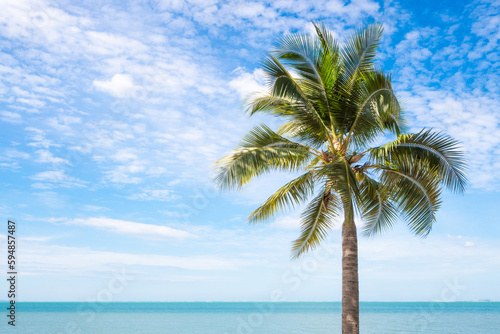 Summer with coconut trees sandy beach and blue sea.