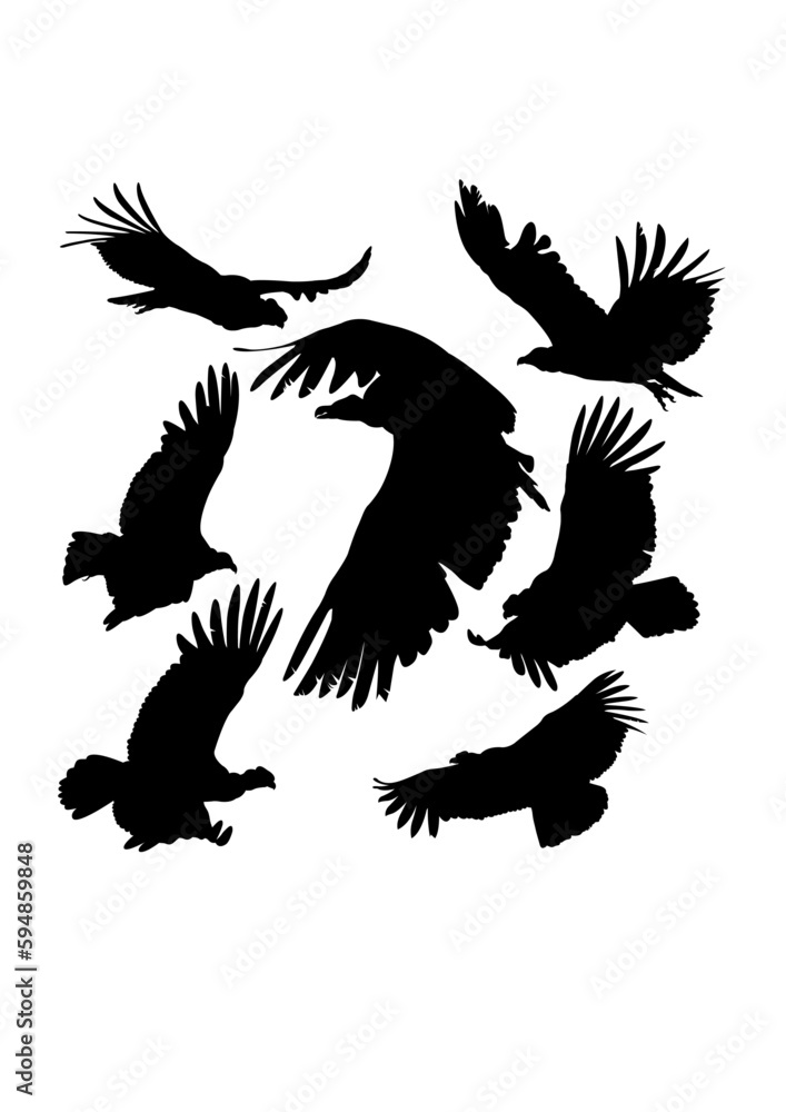 Condor bird poultry silhouettes Condor bird poultry silhouettes