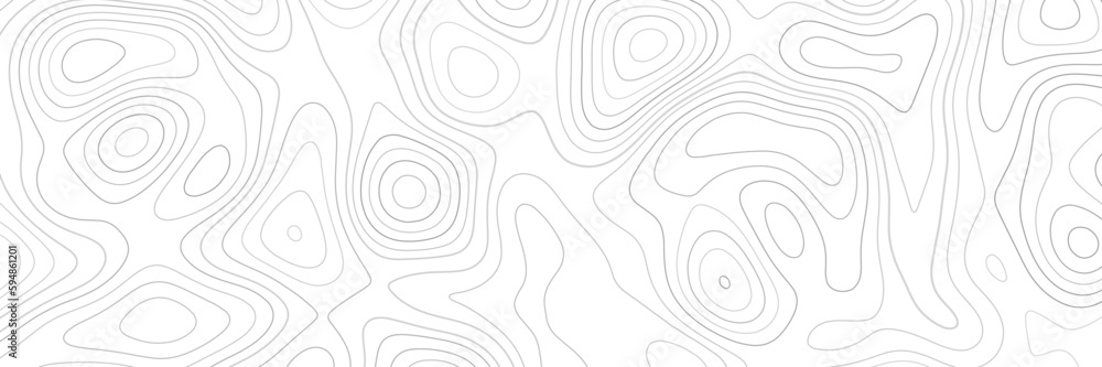 Panorama view topographic map background. Grid map. Contour. Vector illustration. Panorama view topographic map background. Grid map. Contour. Vector illustration.